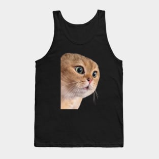 Cat boyfriend couple relationship meme Tank Top